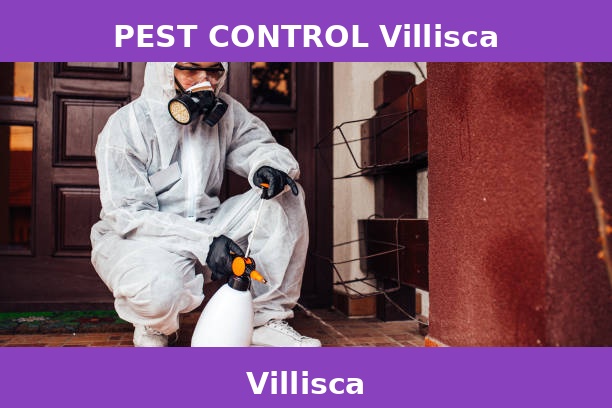 PEST CONTROL Villisca